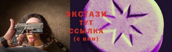 индика Володарск