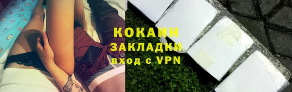 индика Володарск
