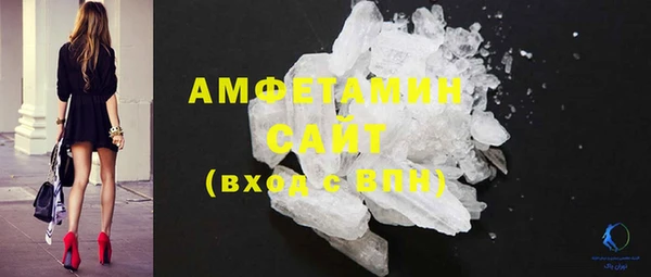 индика Володарск