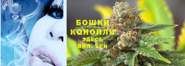 бошки Верея